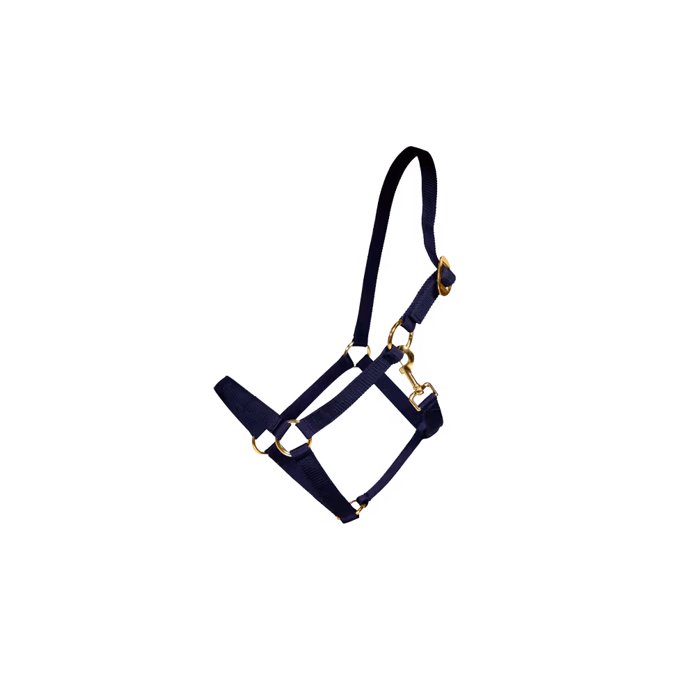 Nylon halter navy Full