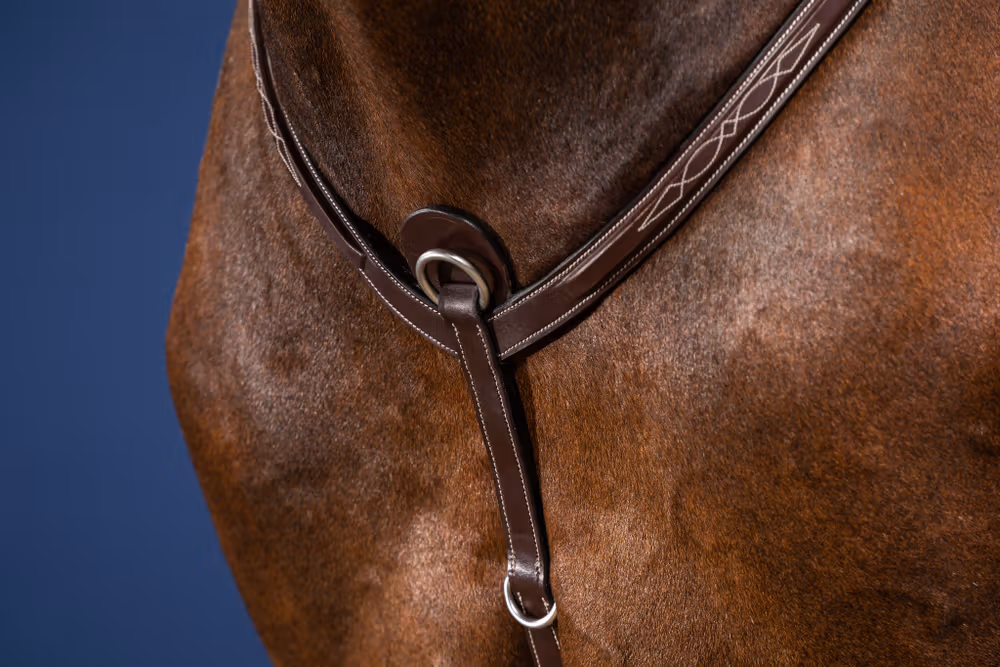 Breastplate