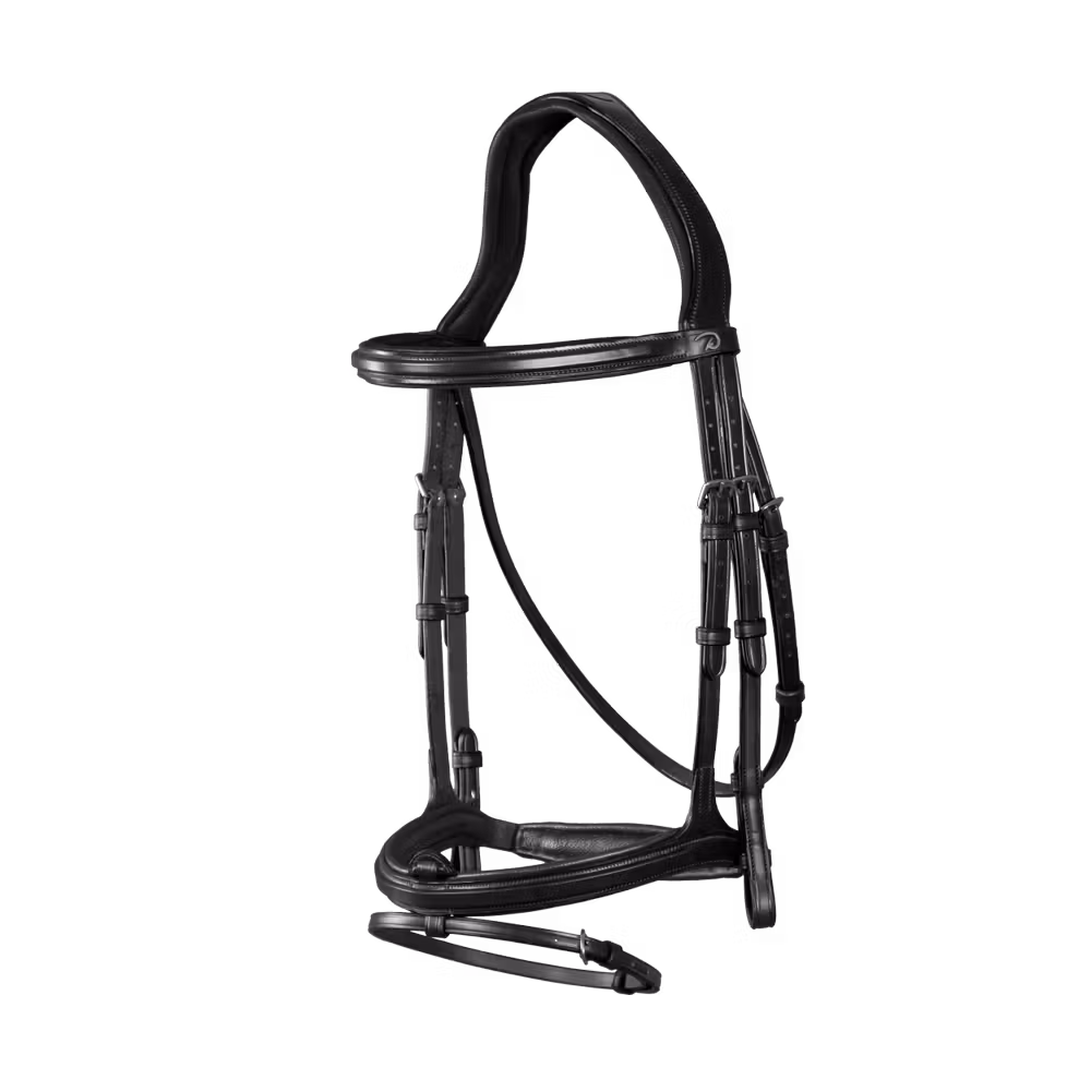 Flash Noseband Bridle
