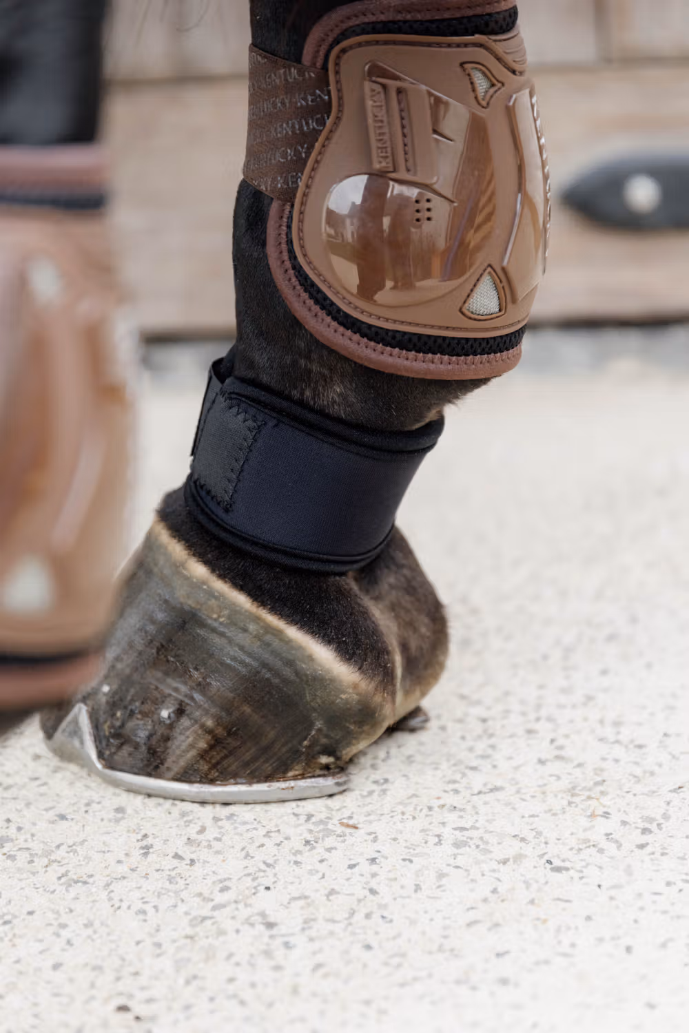 Pastern Wrap