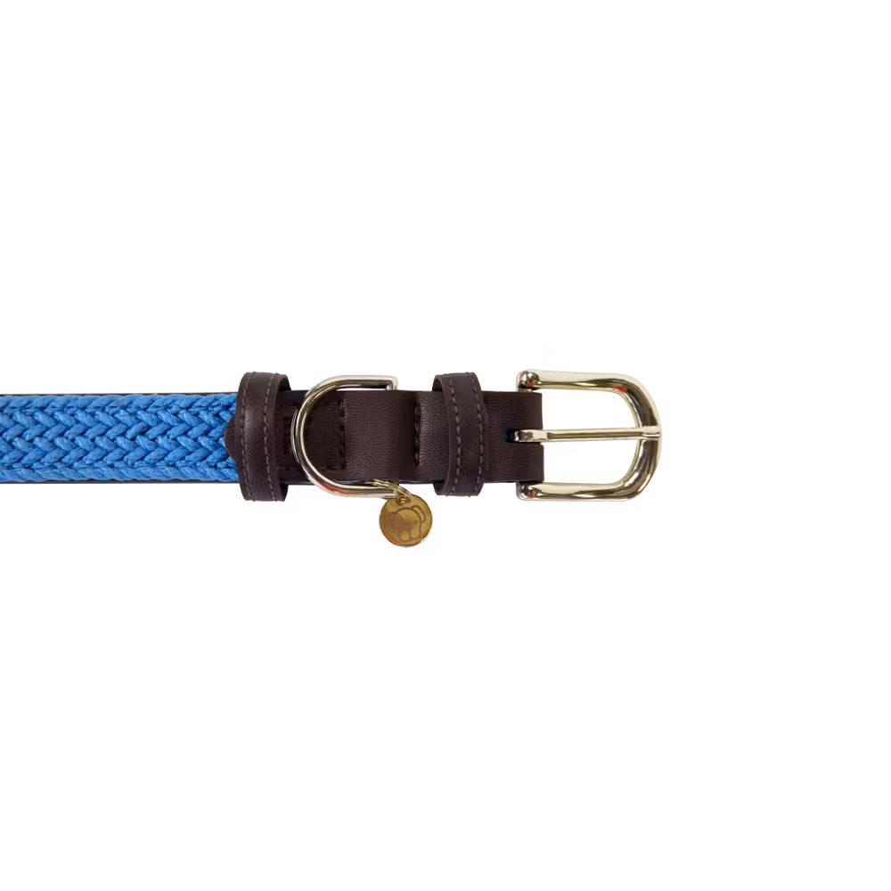Plaited Nylon Dog collar navy S 42cm