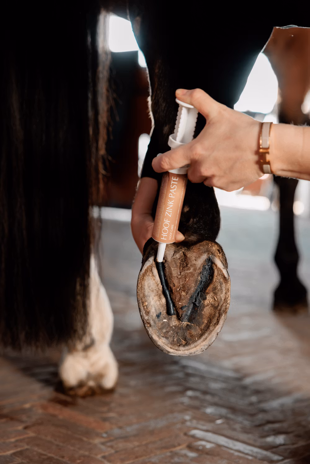 GD Equi Hoof zinc paste 60ml