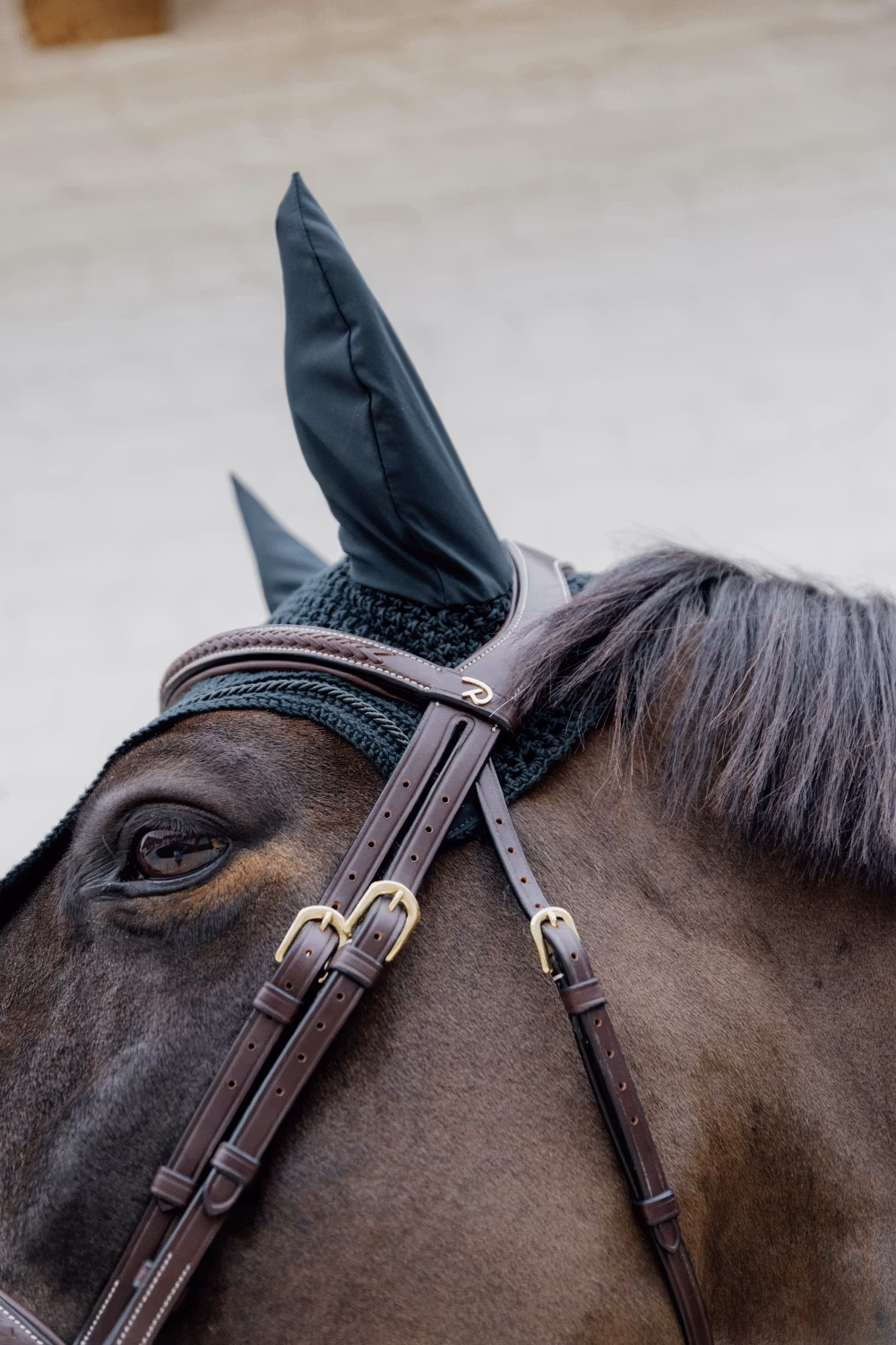 Plaited Flash Noseband Bridle Brown Full D Collection