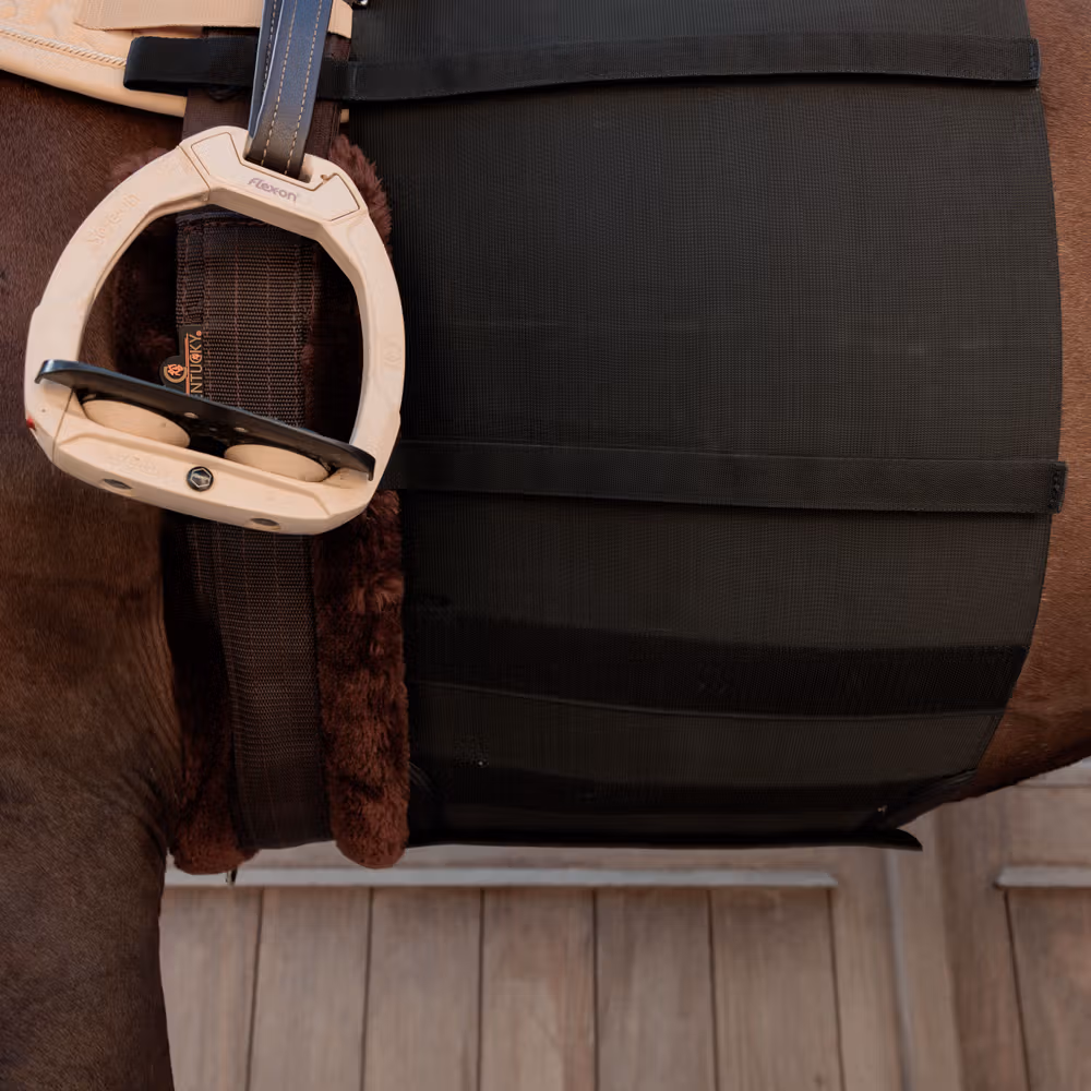 Belly band horse Full black