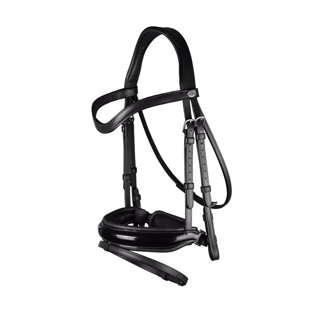 Patent Large Crank Noseband Bridle With Flash