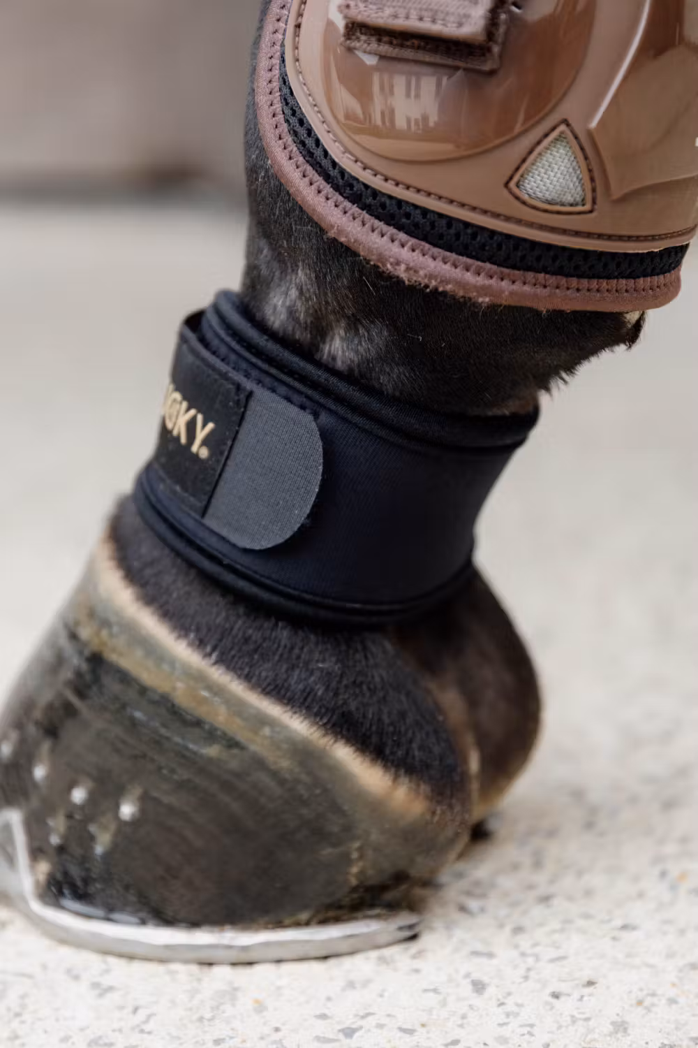 Pastern Wrap