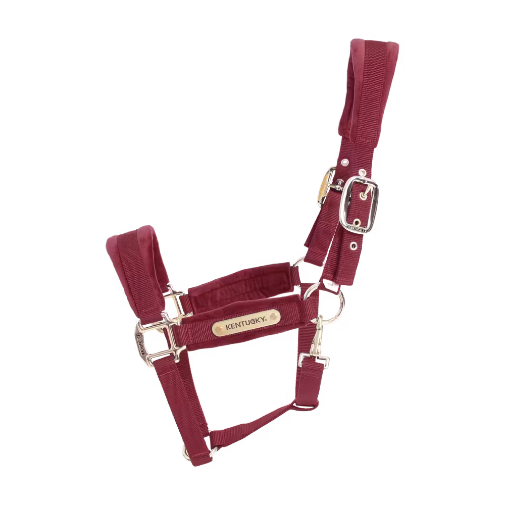 Velvet Halter old rose cob