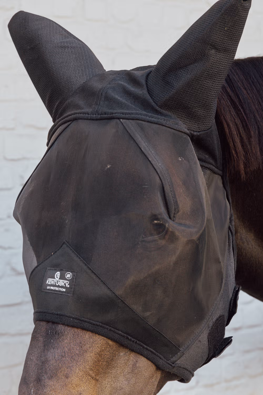 Fly mask with ears soundless black Full