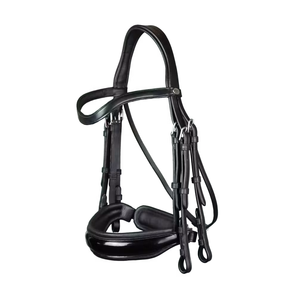 Patent Large Crank Noseband Double Bridle