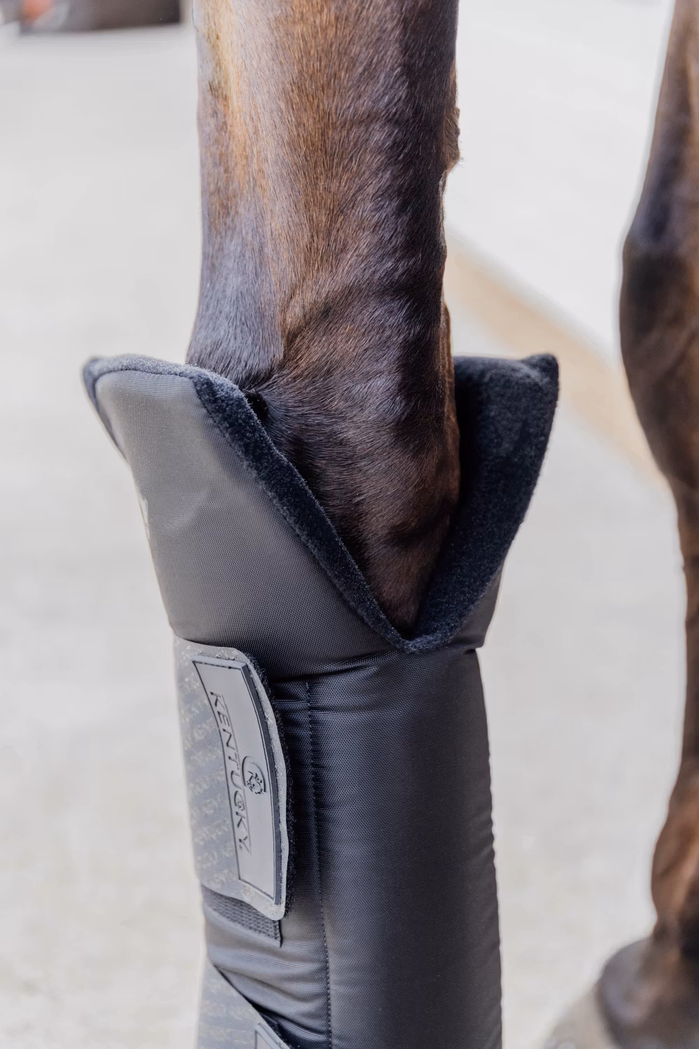 Stable boots PROtect long front black size S