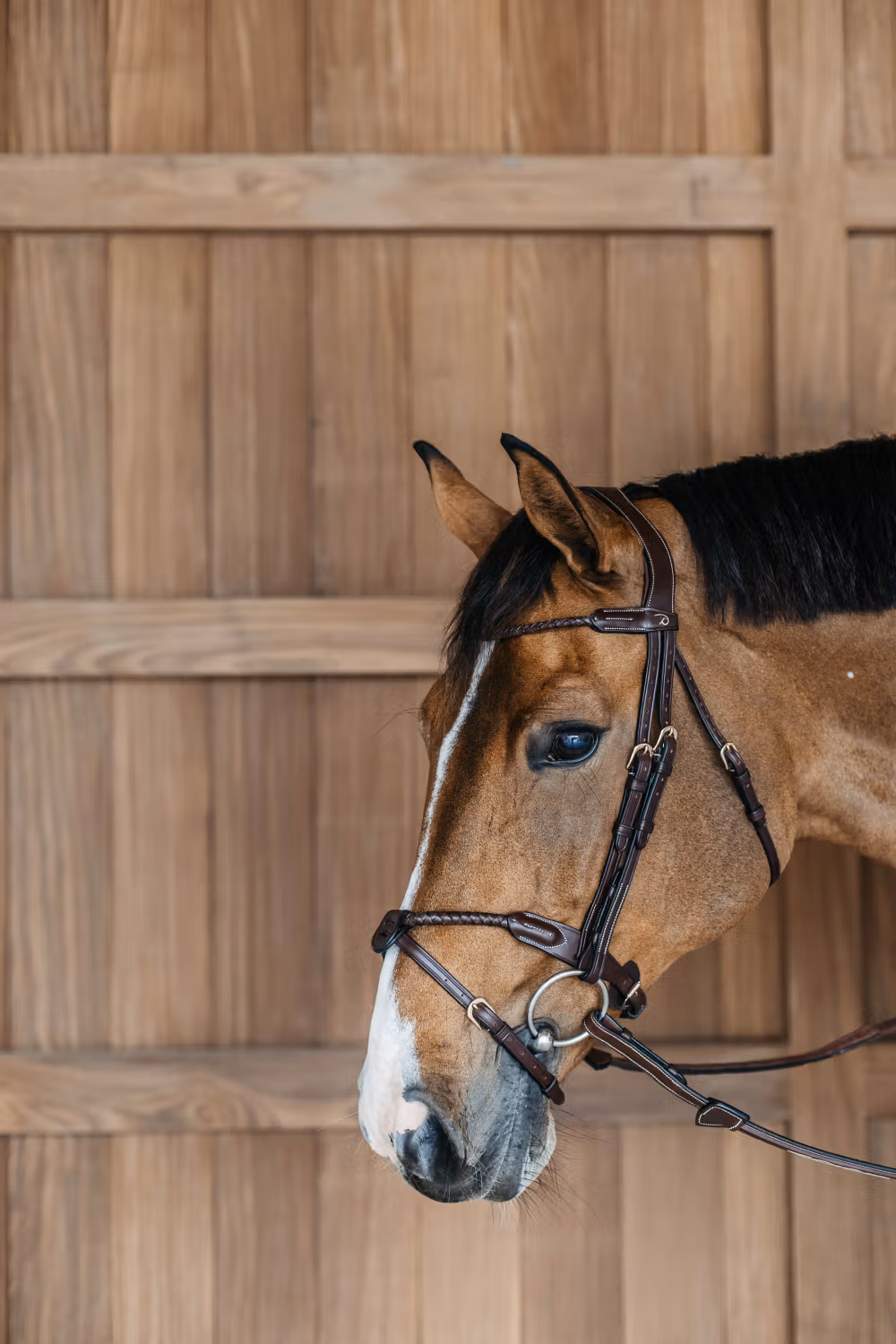 Braided Flash Noseband Bridle