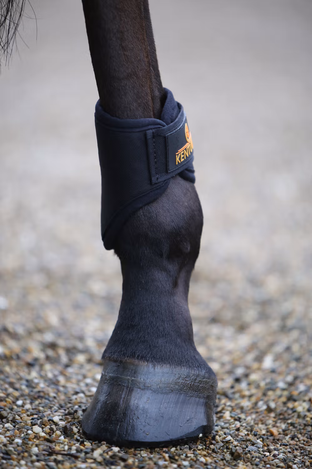 Turnout boots 3D spacer black short