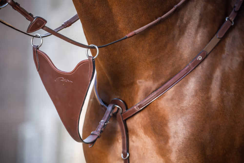 Hard Bib Martingale Attachment