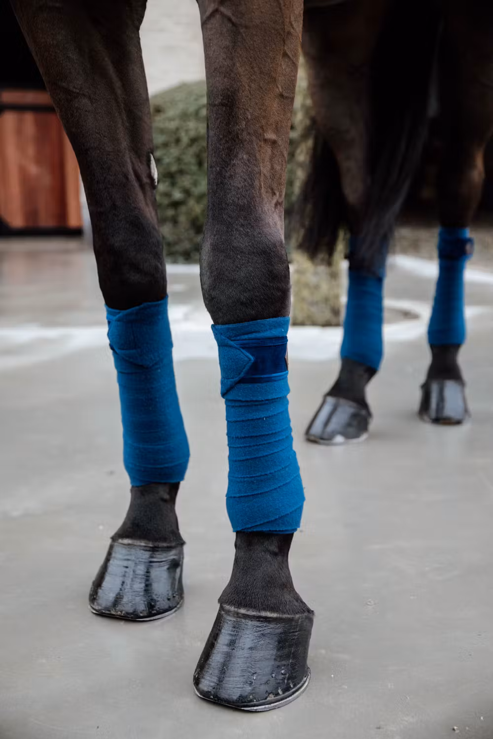 Polar Fleece bandage basic velvet navy