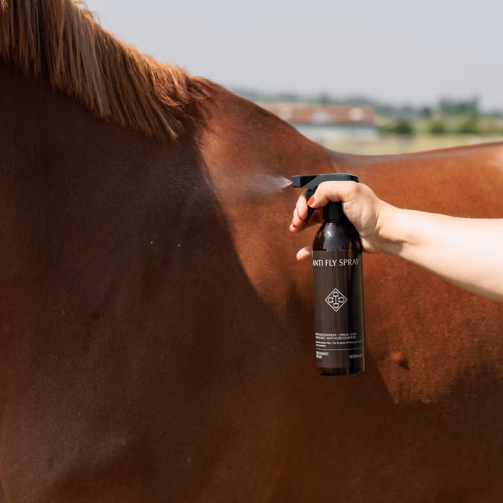 Anti Fly Spray 500ml