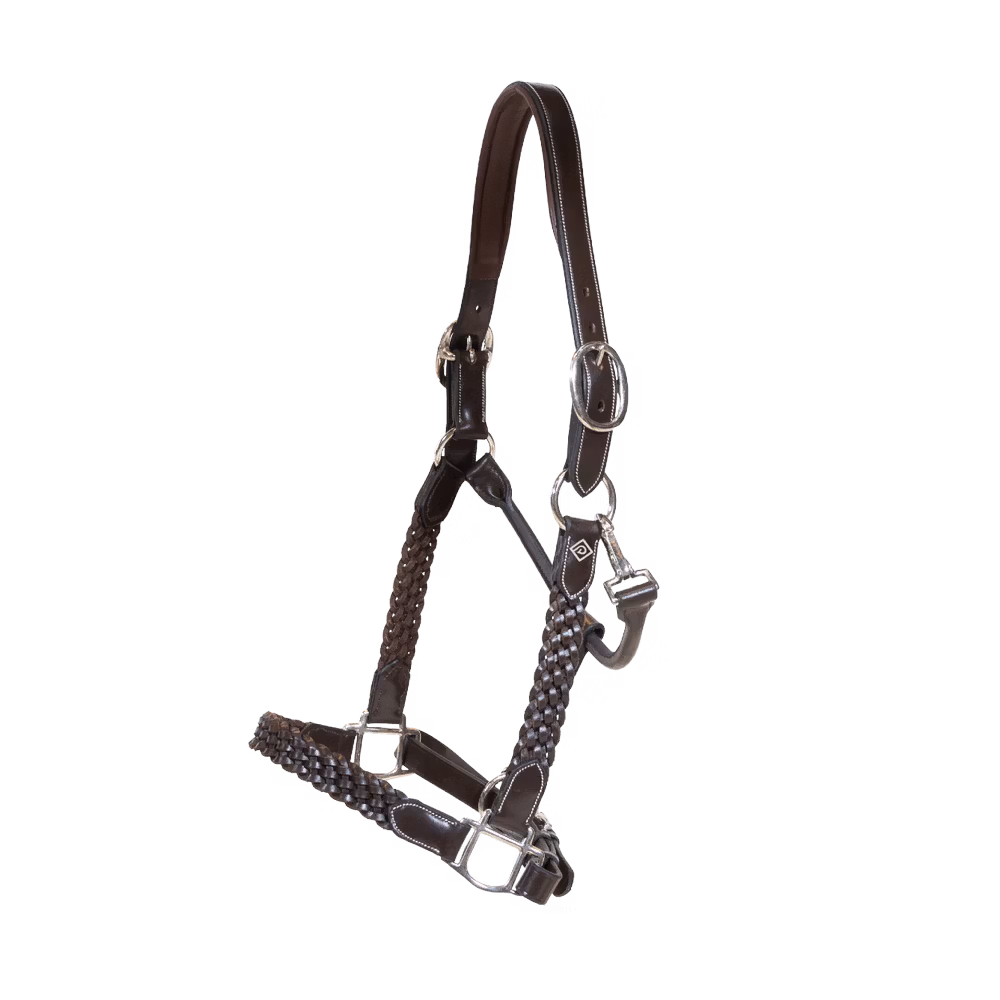 Plaited Halter