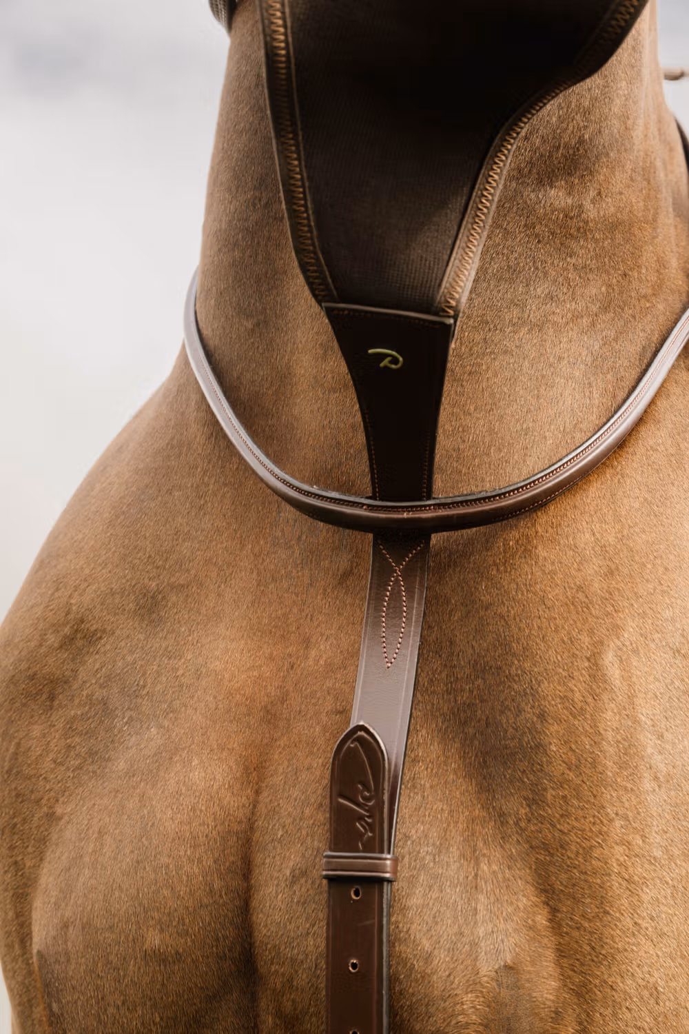Elastic BIB Martingale NE coll, Full/brown