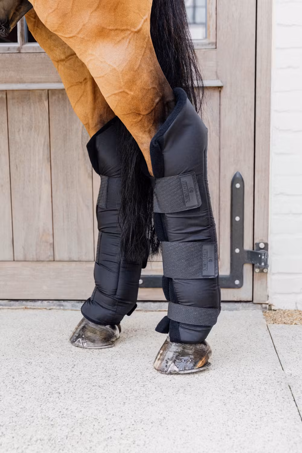 Stable boots PROtect long hind with hook protector black size S