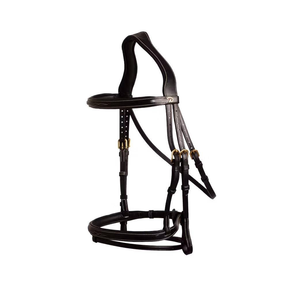 Flash Noseband Bridle