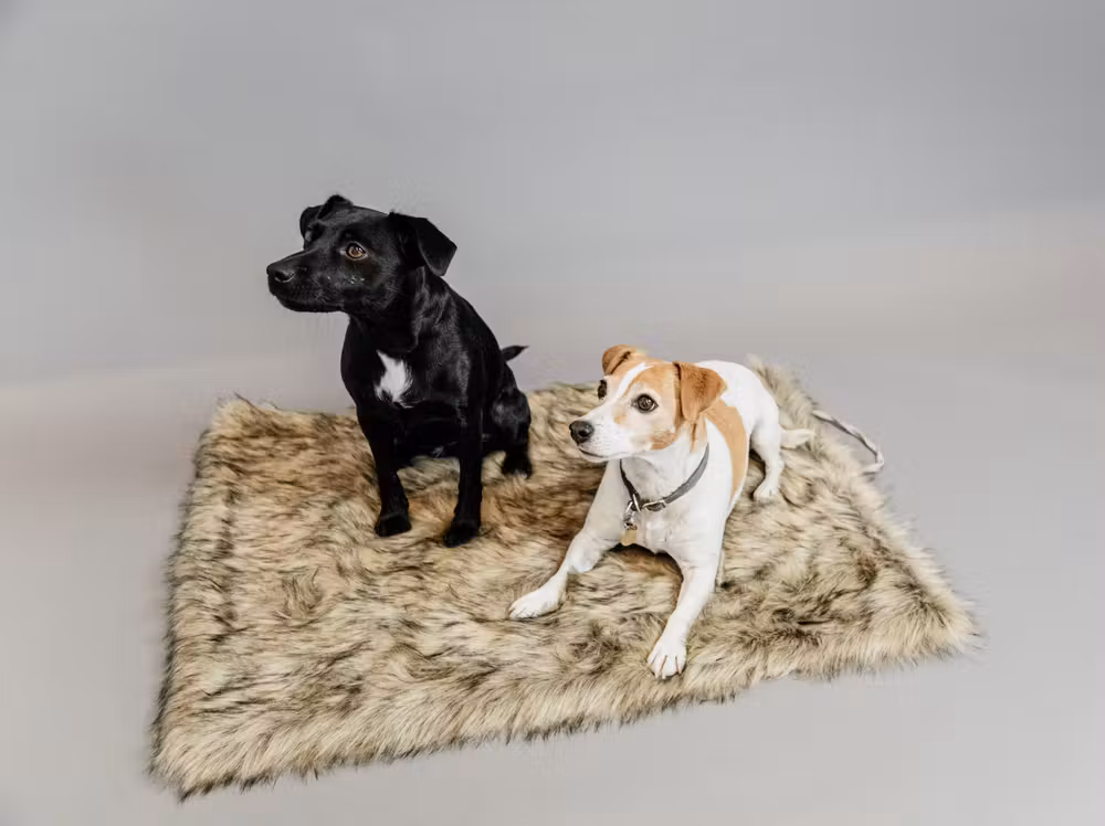 Dog bed to go blanket FUZZY,S 80x60cm