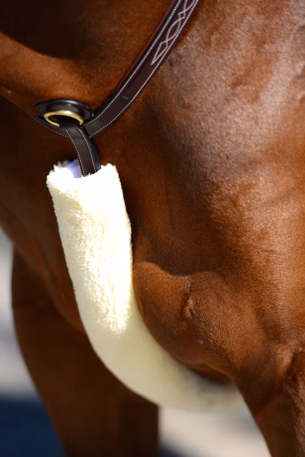 Sheepskin Breastplate & Rein cover natural