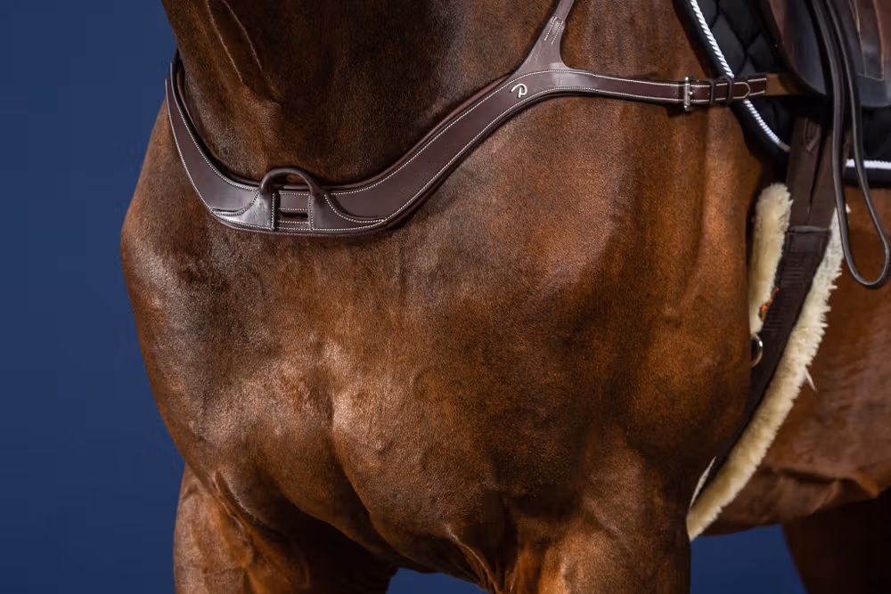Anatomical Breastplate