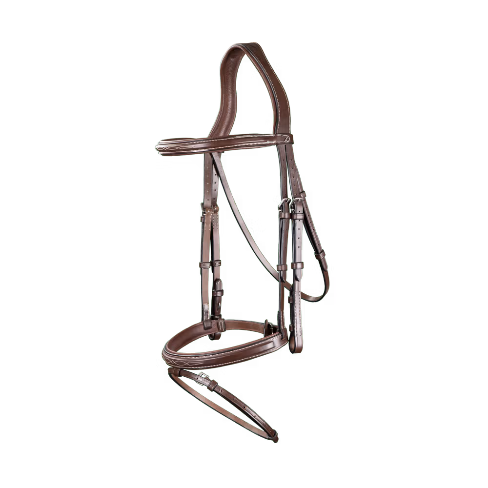 Flash Noseband Bridle