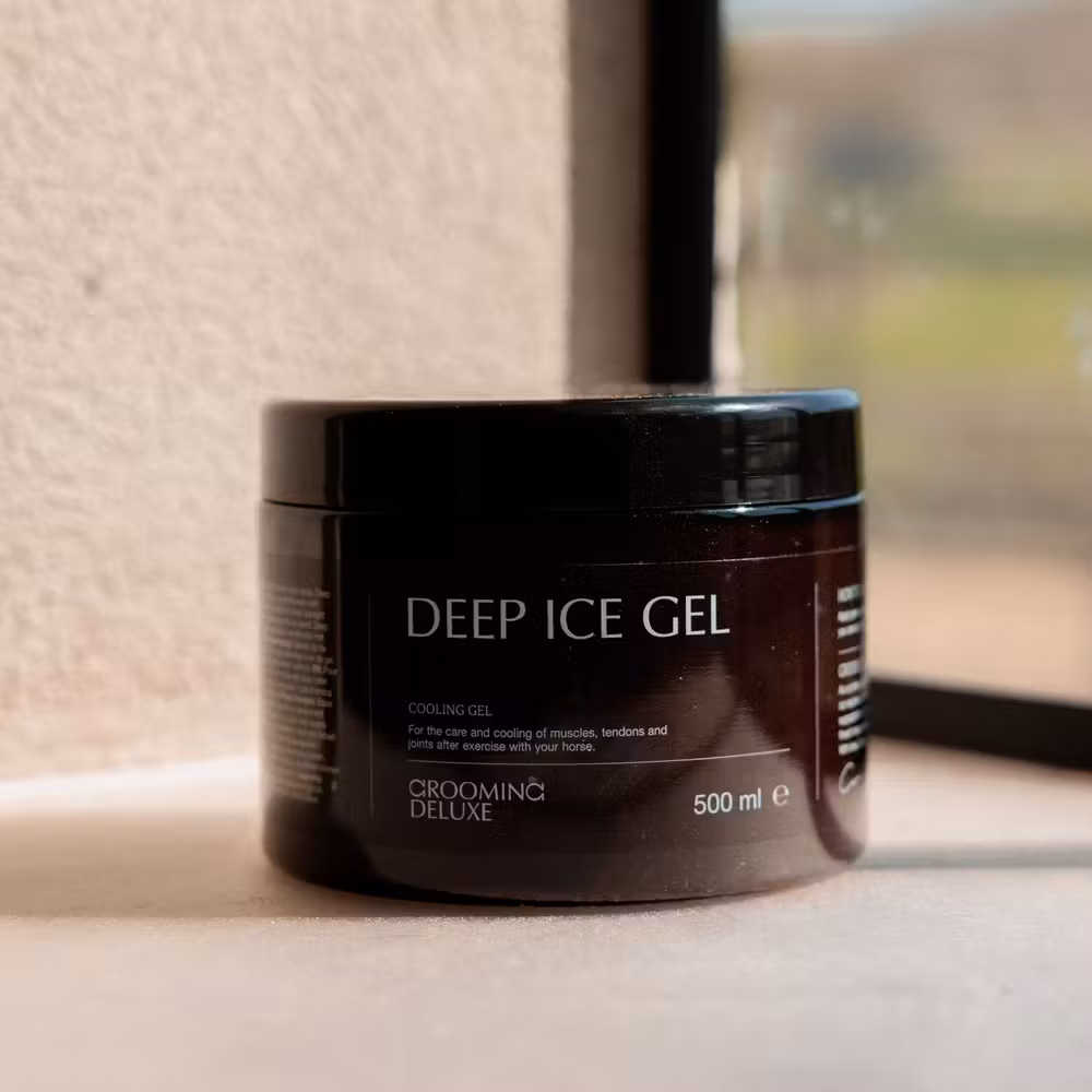 GD Recovering Ice gel 500ml