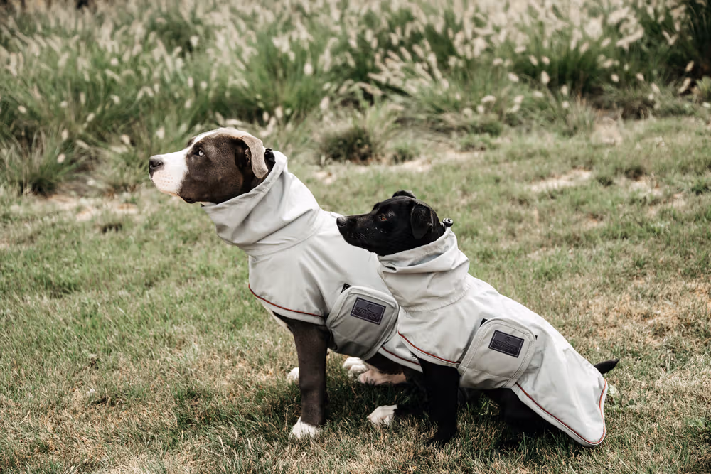 Dog rain coat dusty blue xxs 30cm