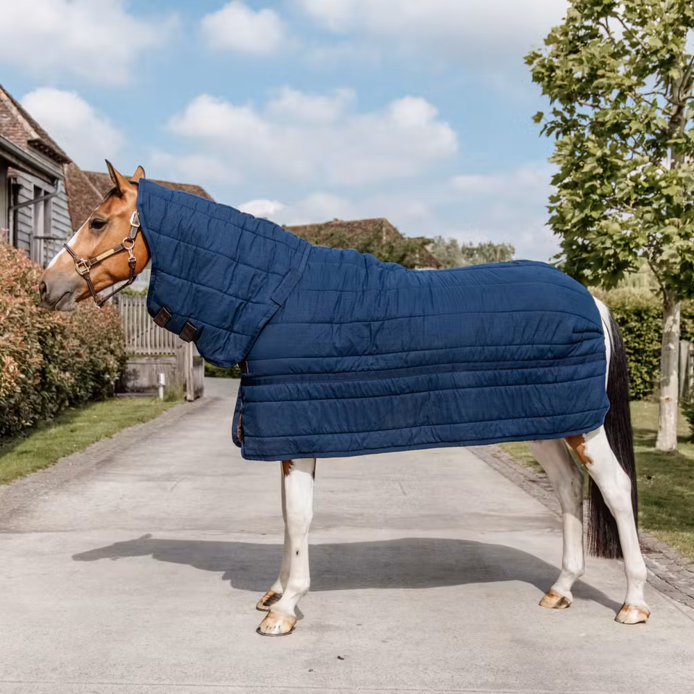 Under Rug skin friendly neck navy 145 6'6 150 gram