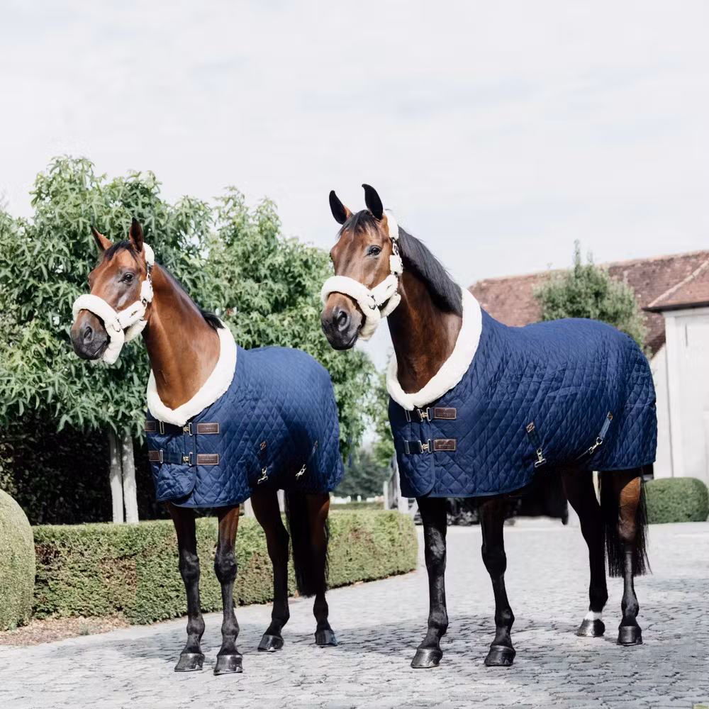 Show rug navy 145-6'6 160 gram