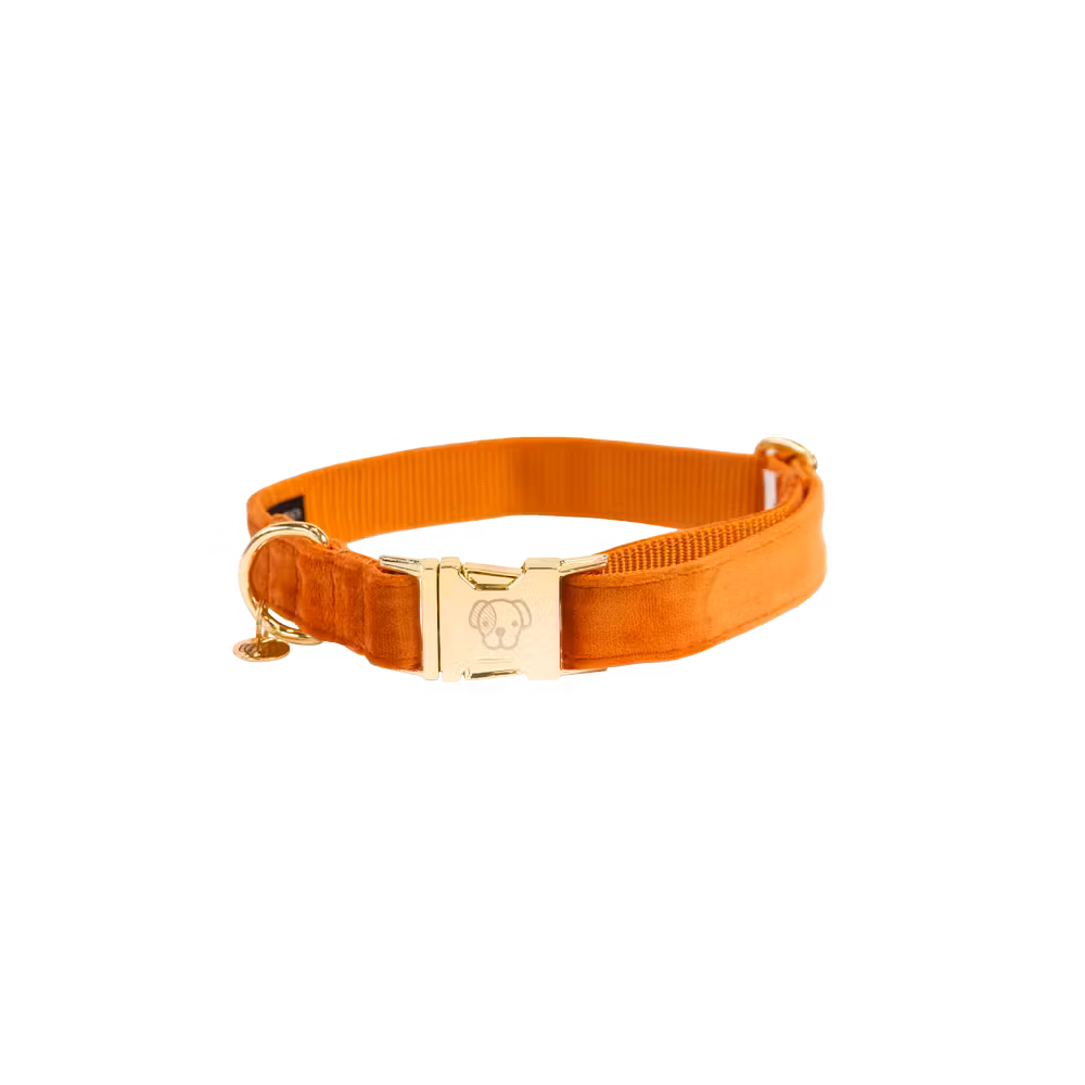 Dog Collar velvet old rose M'36-52cm
