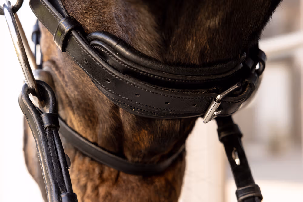 ComfoHead Bridle WBD Full/black