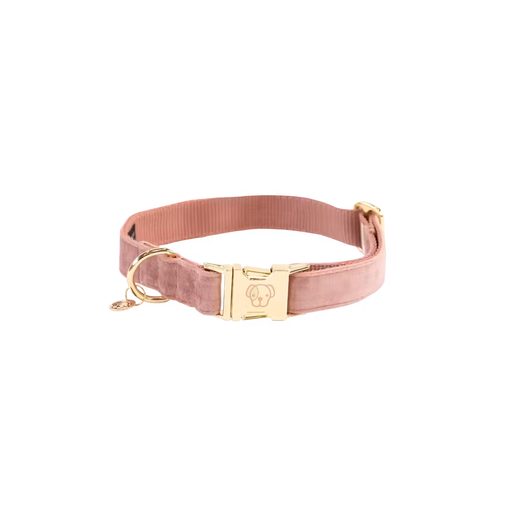 Dog Collar velvet old rose M'36-52cm