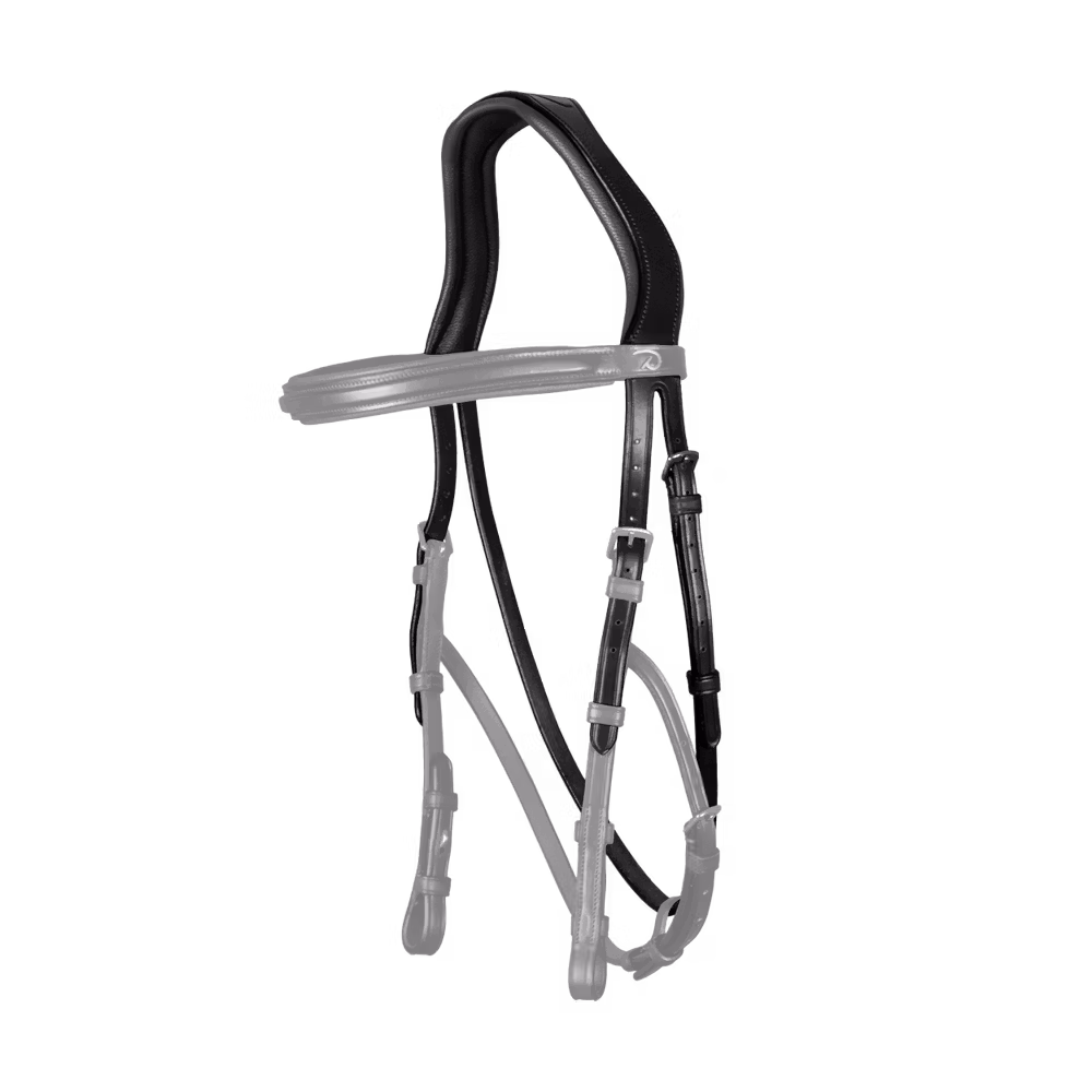 Hackamore Headpiece