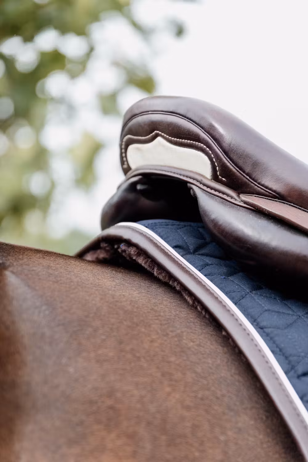 Skin Friendly Saddle Pad jumping navy