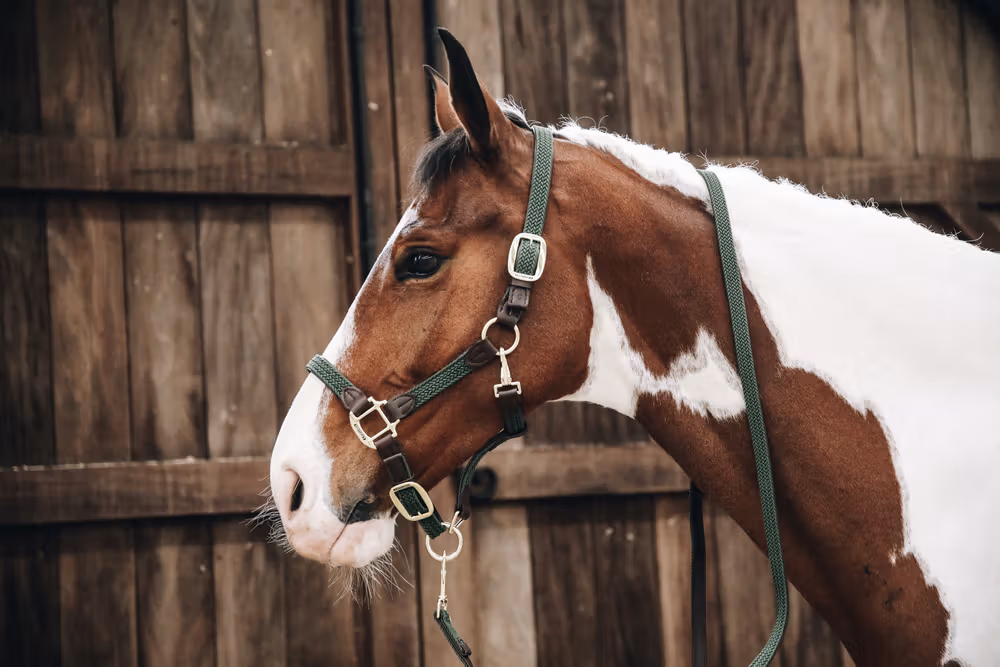 Plaited Nylon horse lead olive green 2 meters