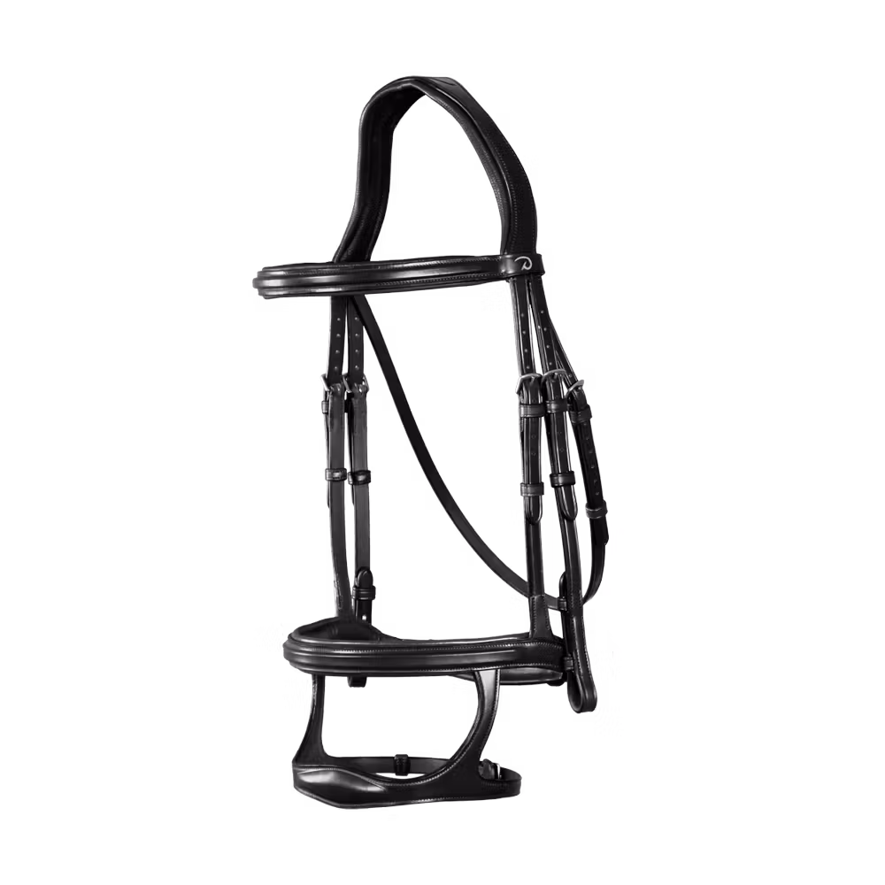 Double Noseband Bridle