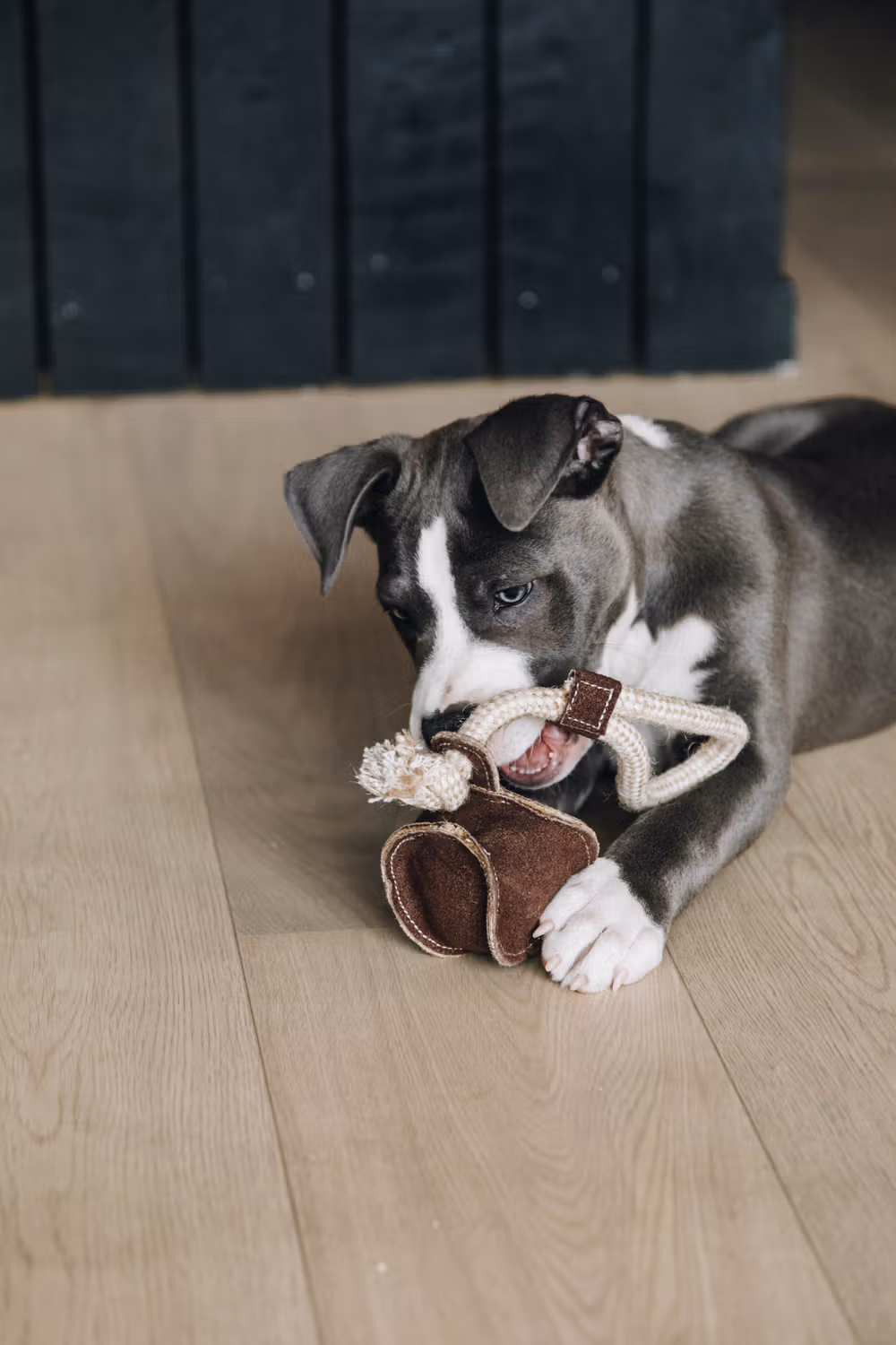 Dog toy cotton rope baseball