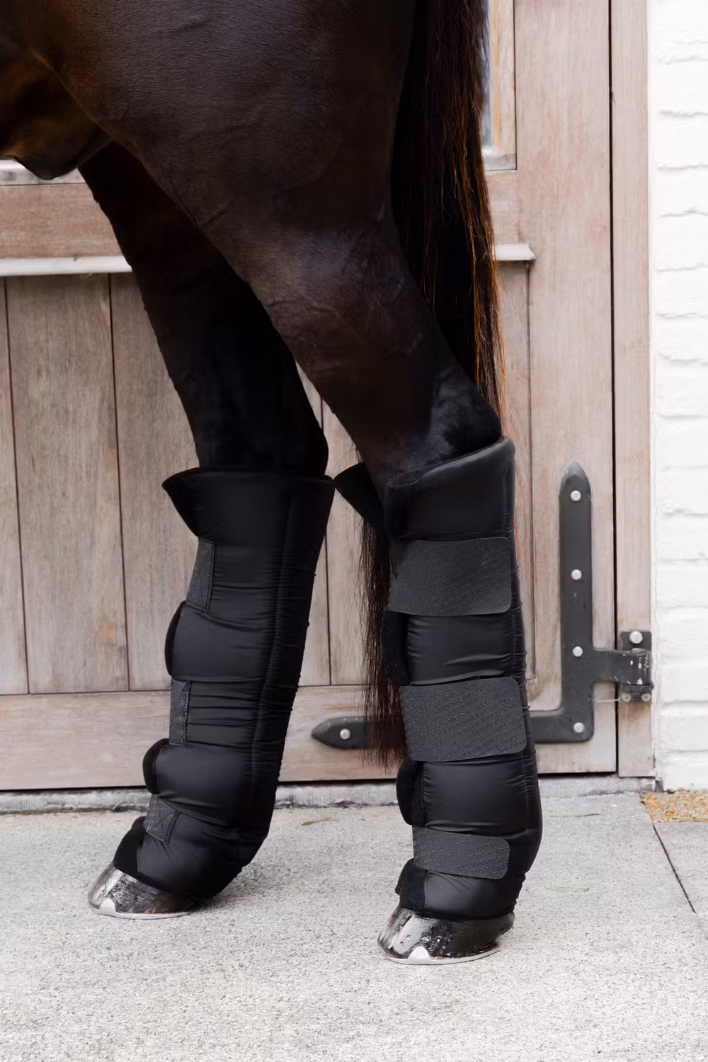 Stable boots PROtect long hind black size M