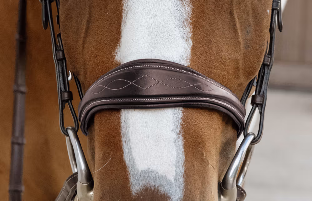 Anatomic Noseband Without Flash