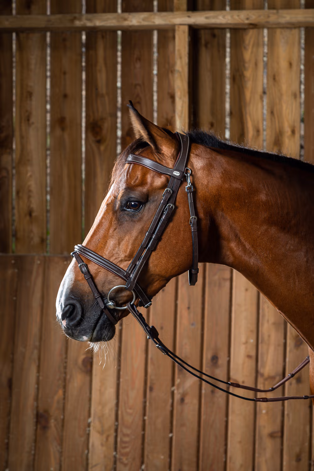 Flash Noseband Bridle With Snap Hook