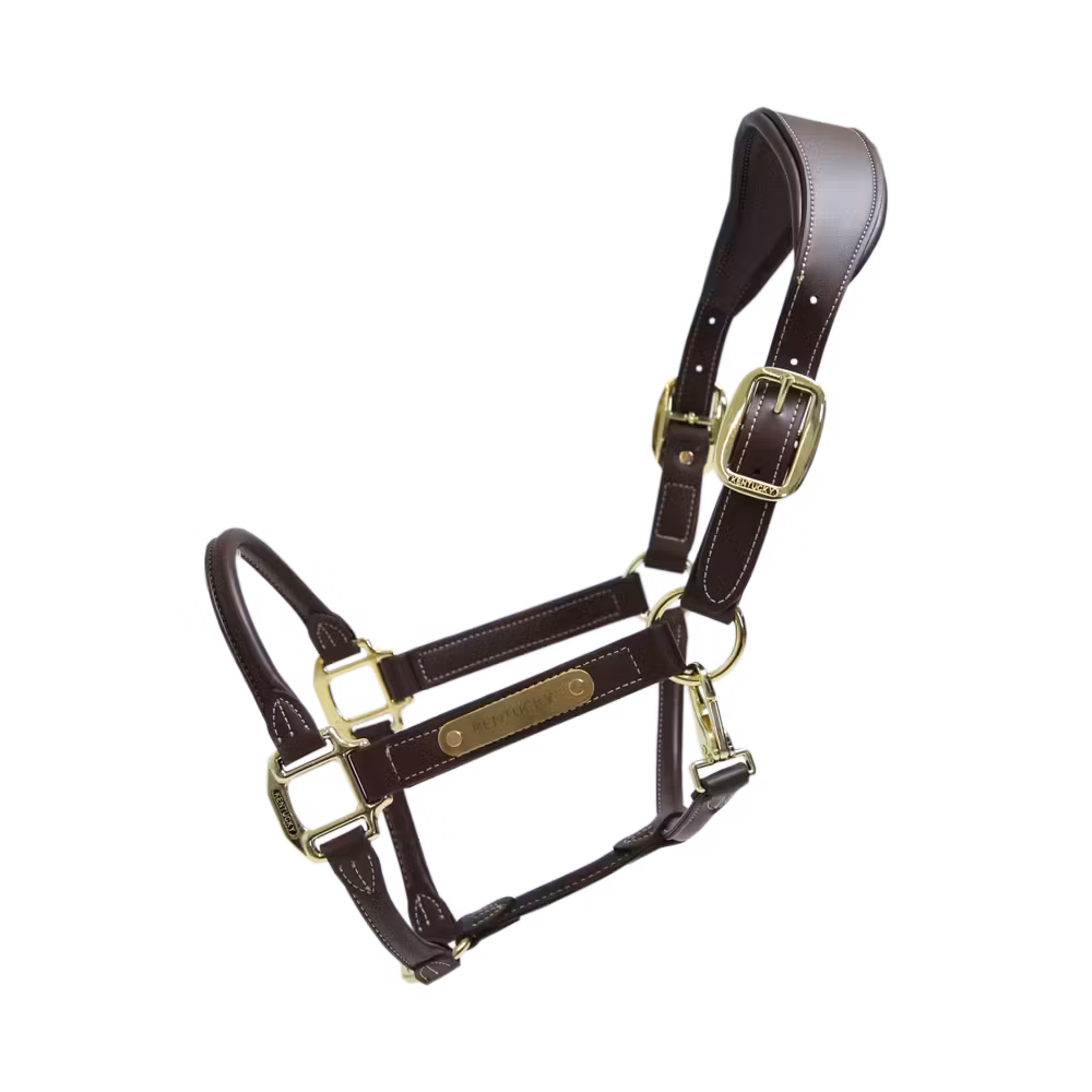 Anatomic leather halter brown Full