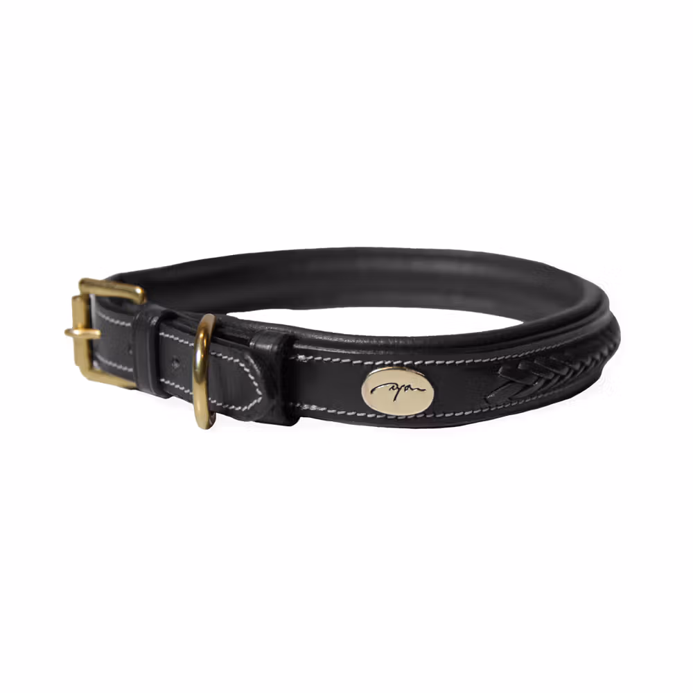 Plaited dog collar L /BLACK