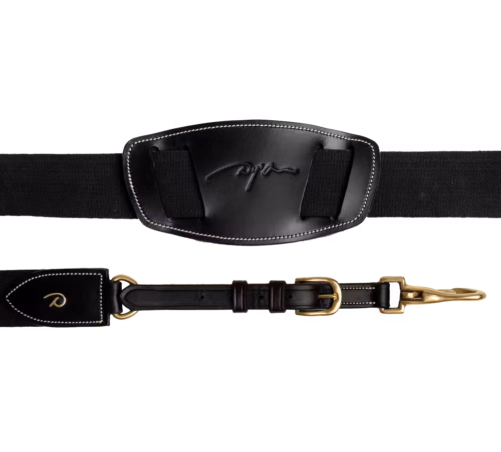 Elastic Breastplate Black Full D