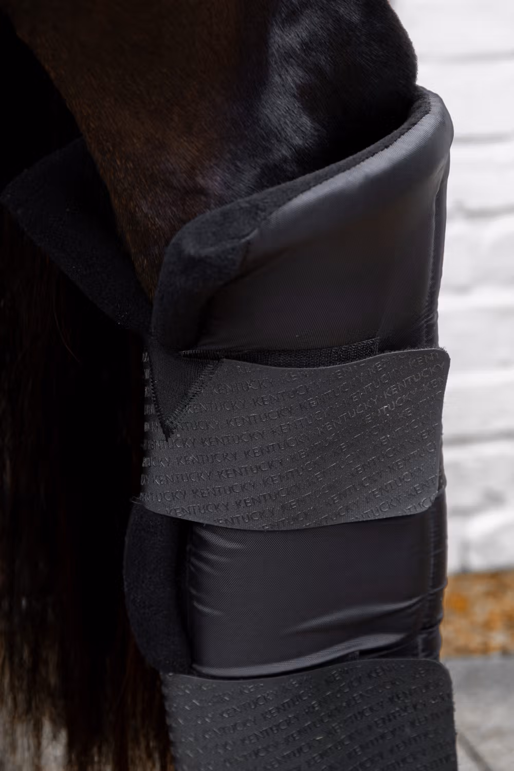 Stable boots PROtect long hind black size M