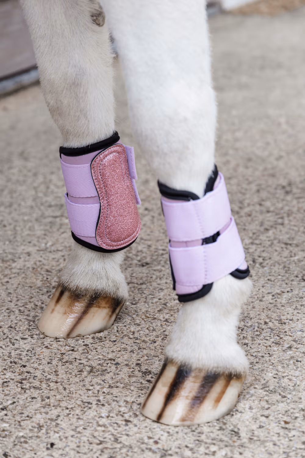 Turnout boots unicorn glitter old rose SH
