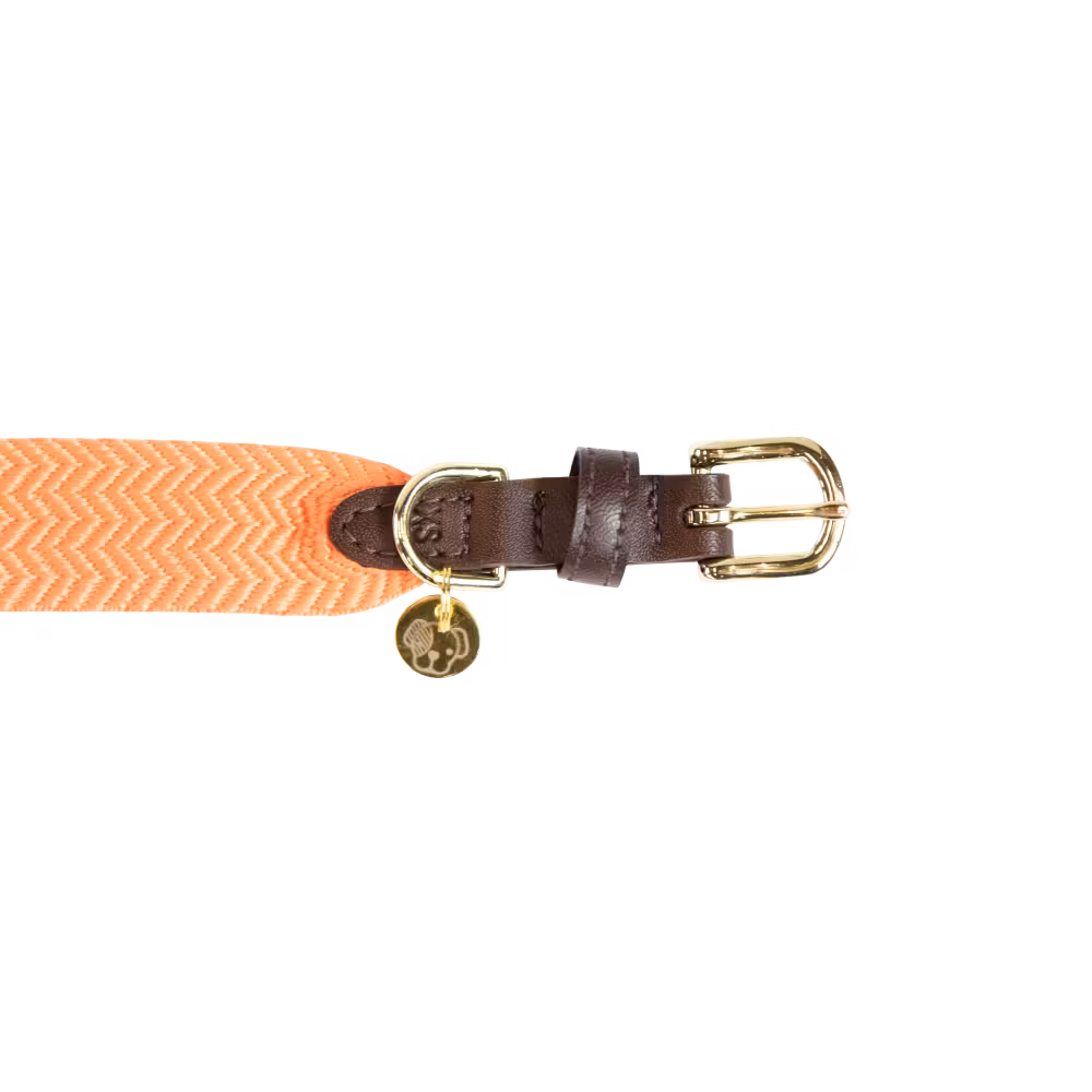 Dog collar Jacquard terracotta XL 71cm