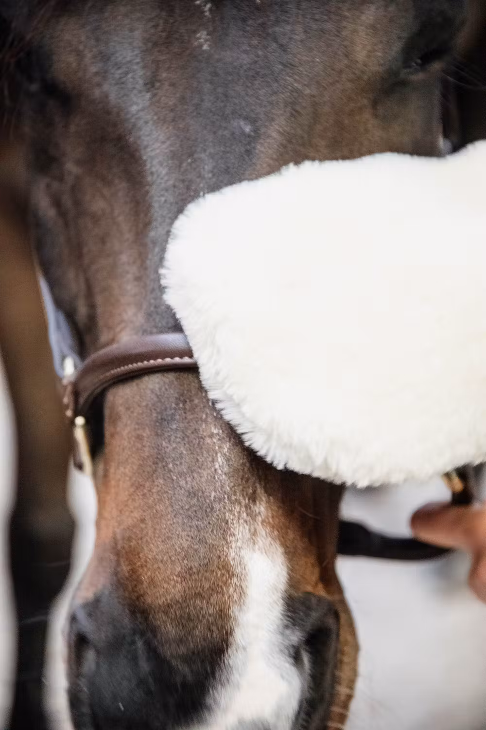 Sheepskin grooming glove naturel
