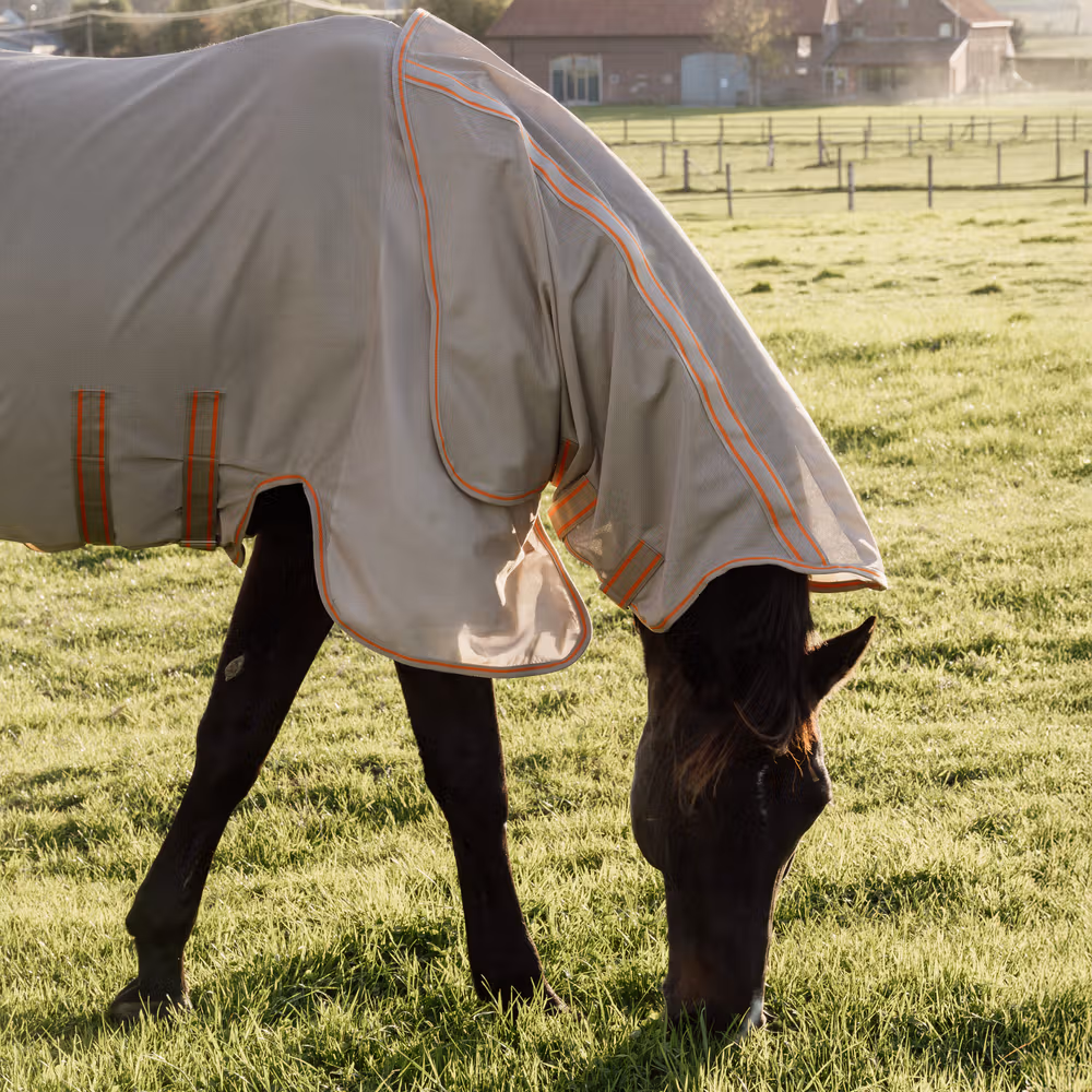 Mesh fly rug comfort beige/orange 145-6'6